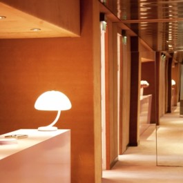 roubaud architectes